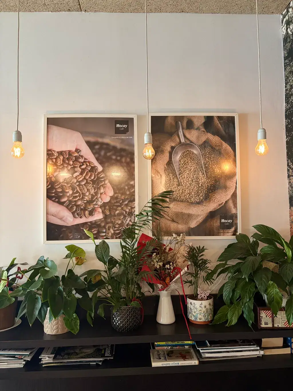 Pared decorativa de Sara Kafetegia con cuadros Mocay de granos de café, estantería con plantas y bombilla Edison colgante